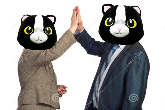 sorryaboutyourcats high five